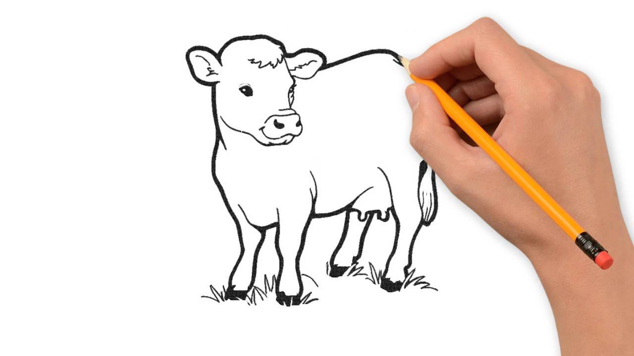 1280x720 Cow Animals Pencil To Draw Step By Step