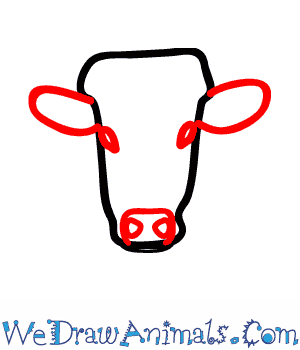 300x350 How To Draw A Longhorn Cattle