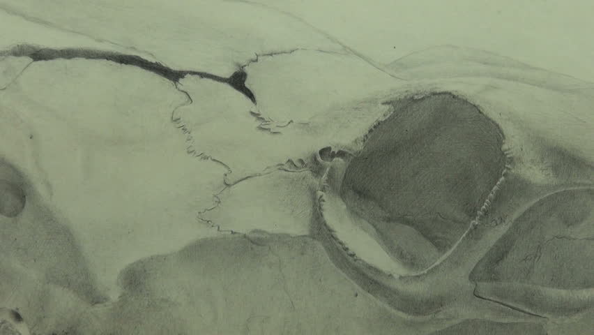 852x480 Graphite Pencil Strokes On Cow Skull Eye Socket Drawing Stock