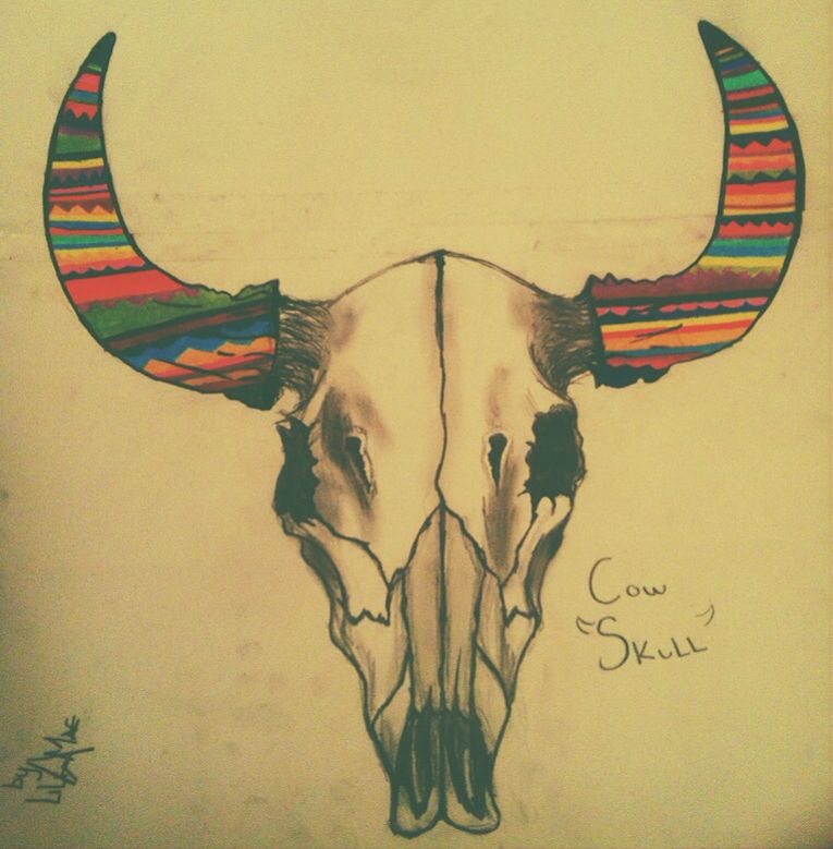 765x779 My Drawing Of A Decaying Cow Skull Art Cow Skull