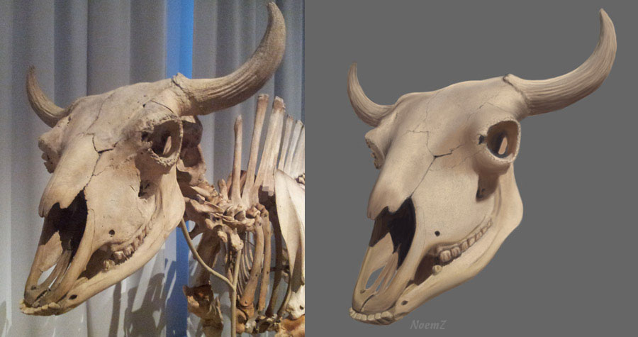 900x475 Naomi Hatchman Illustration 2012