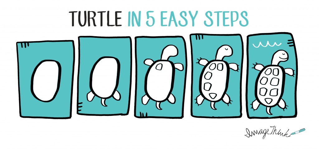 1024x477 Simple Turtle Drawing Imagethink