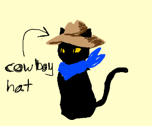 300x250 Cat Wearing A Cowboy Hat