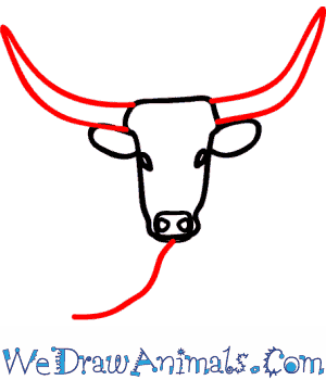 300x350 How To Draw A Longhorn Cattle