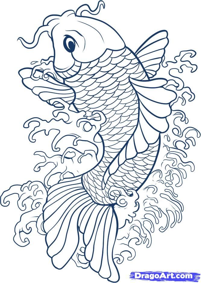 667x941 Drawing Koi Fish Connect To Study Of Japan And Japanese Gardens