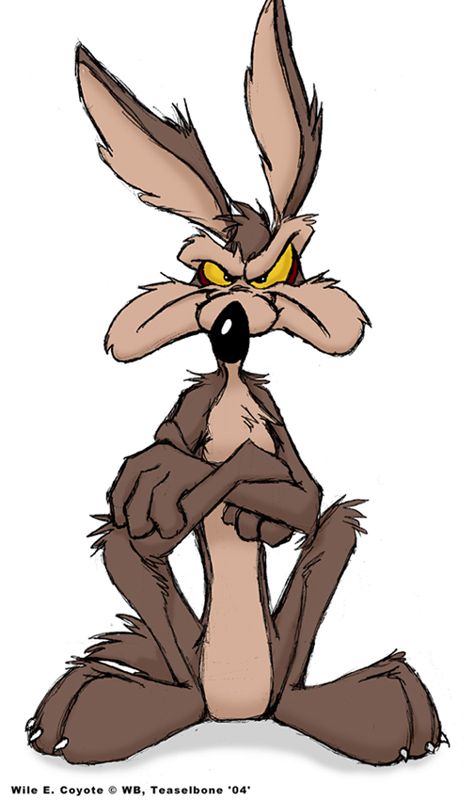 474x800 107 Best Taz, Wile E. Coyote And Animal (Muppets) Images