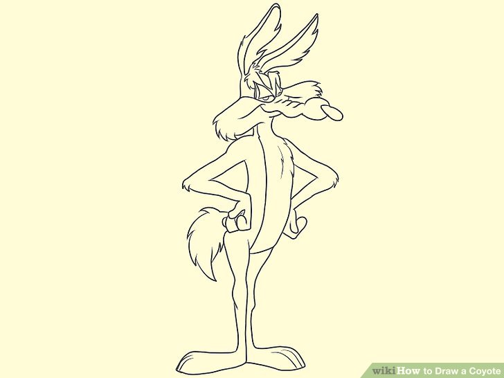 728x546 How To Draw A Coyote (With Pictures)