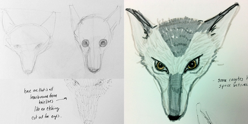 800x400 Coyote Pack Directed Interdisciplinary Studio 1 (2011)