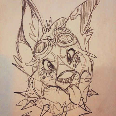 480x480 Drawn Furry Coyote