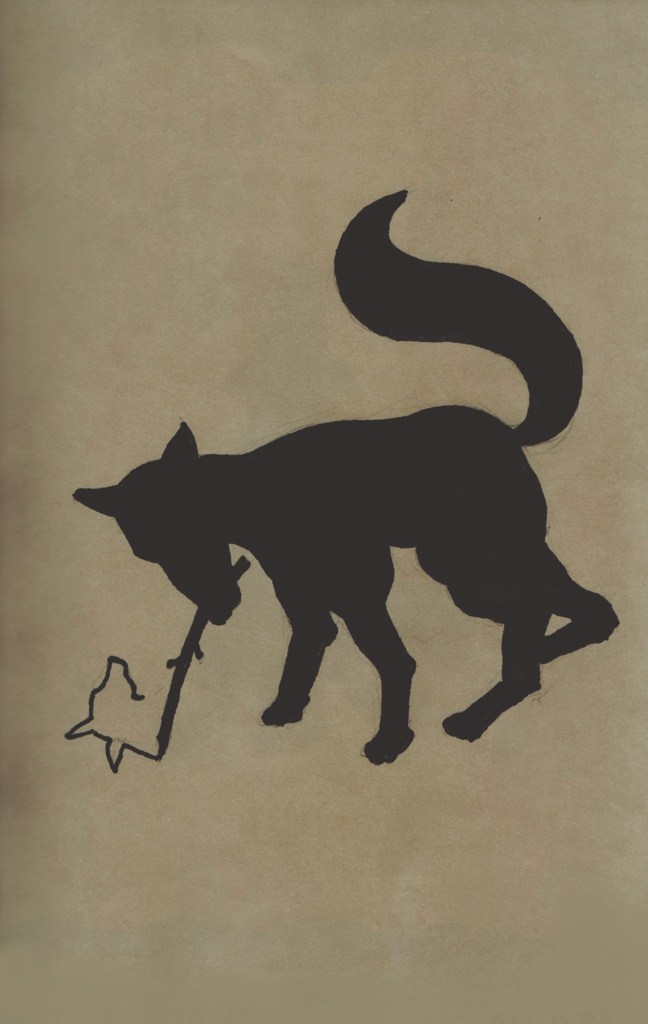 648x1024 The Coyote Drawings Coyote's Dream