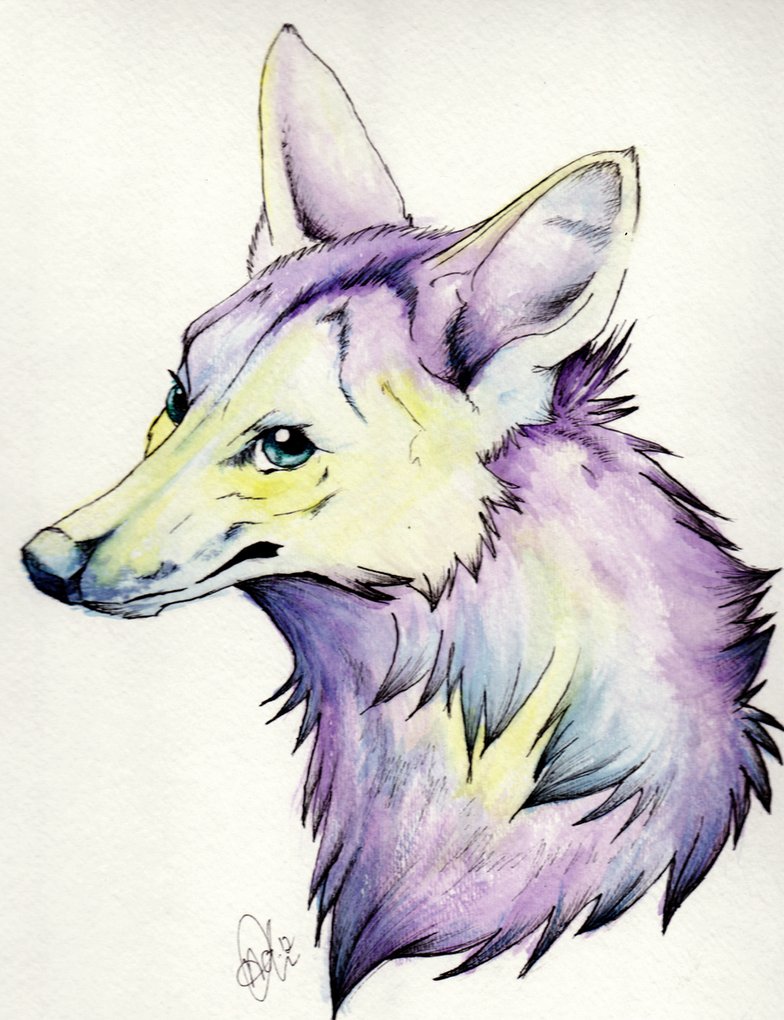 784x1020 Watercolor Coyote By Hierlihy