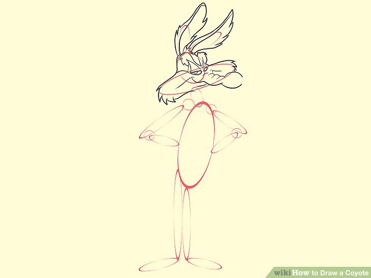 728x546 How To Draw A Coyote (With Pictures)