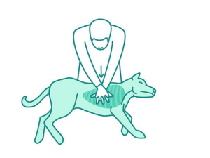 300x225 Aha Cpr Aed First Aid Sacramento Archives Page 3 Of 4 Scrubs