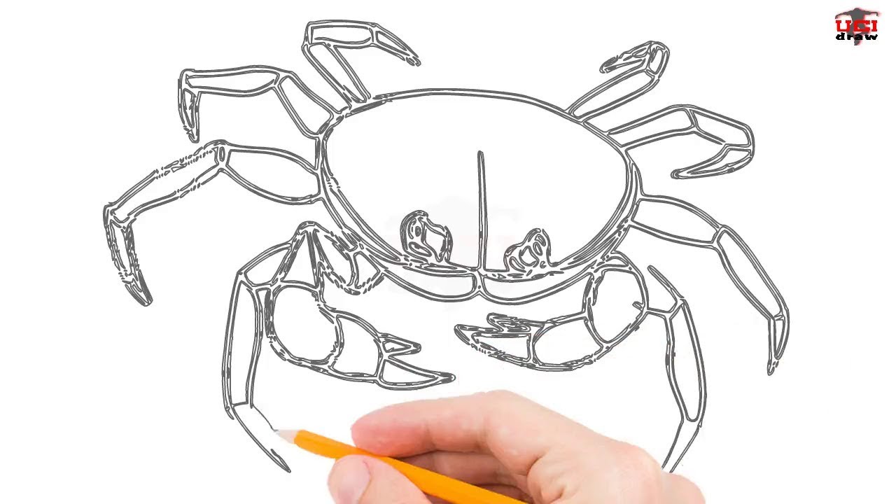 1280x720 How To Draw A Crab Step By Step Easy For Beginnerskids Simple