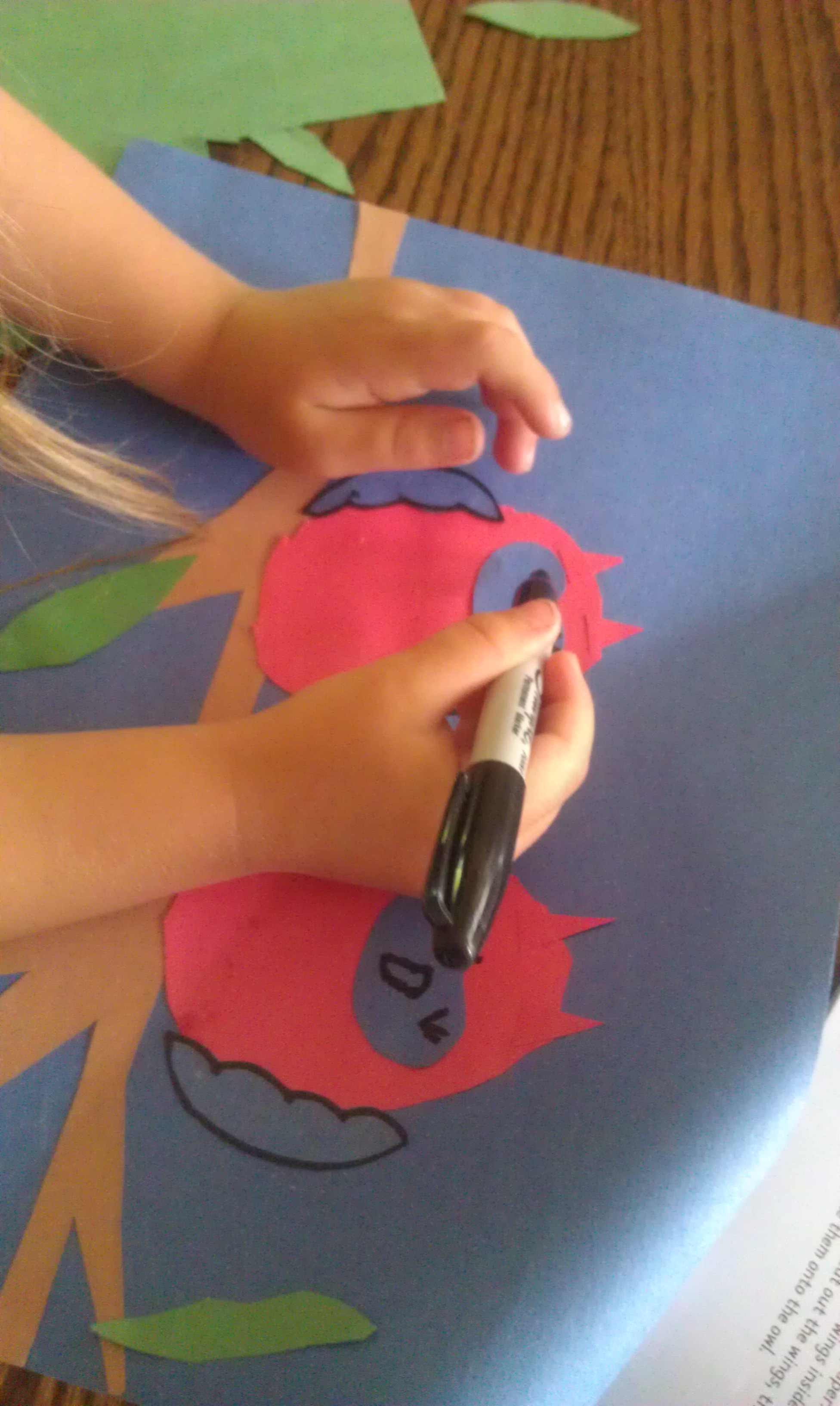 1952x3264 Drawing Paper Craft Owl Faces