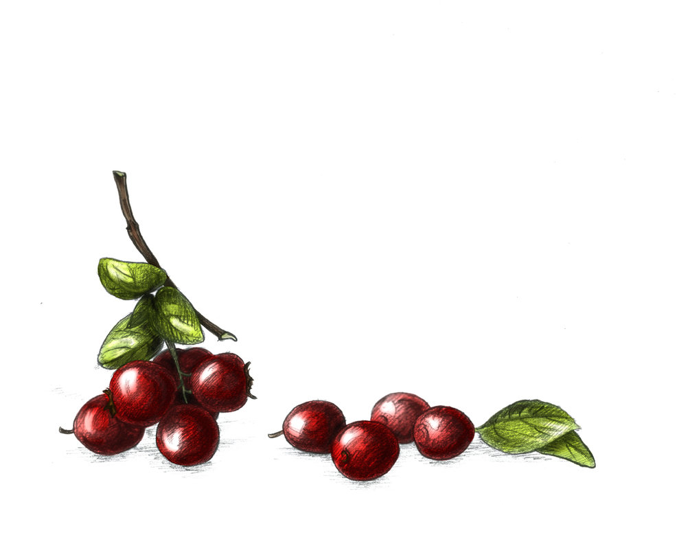 986x811 Haute Confiture Preserves