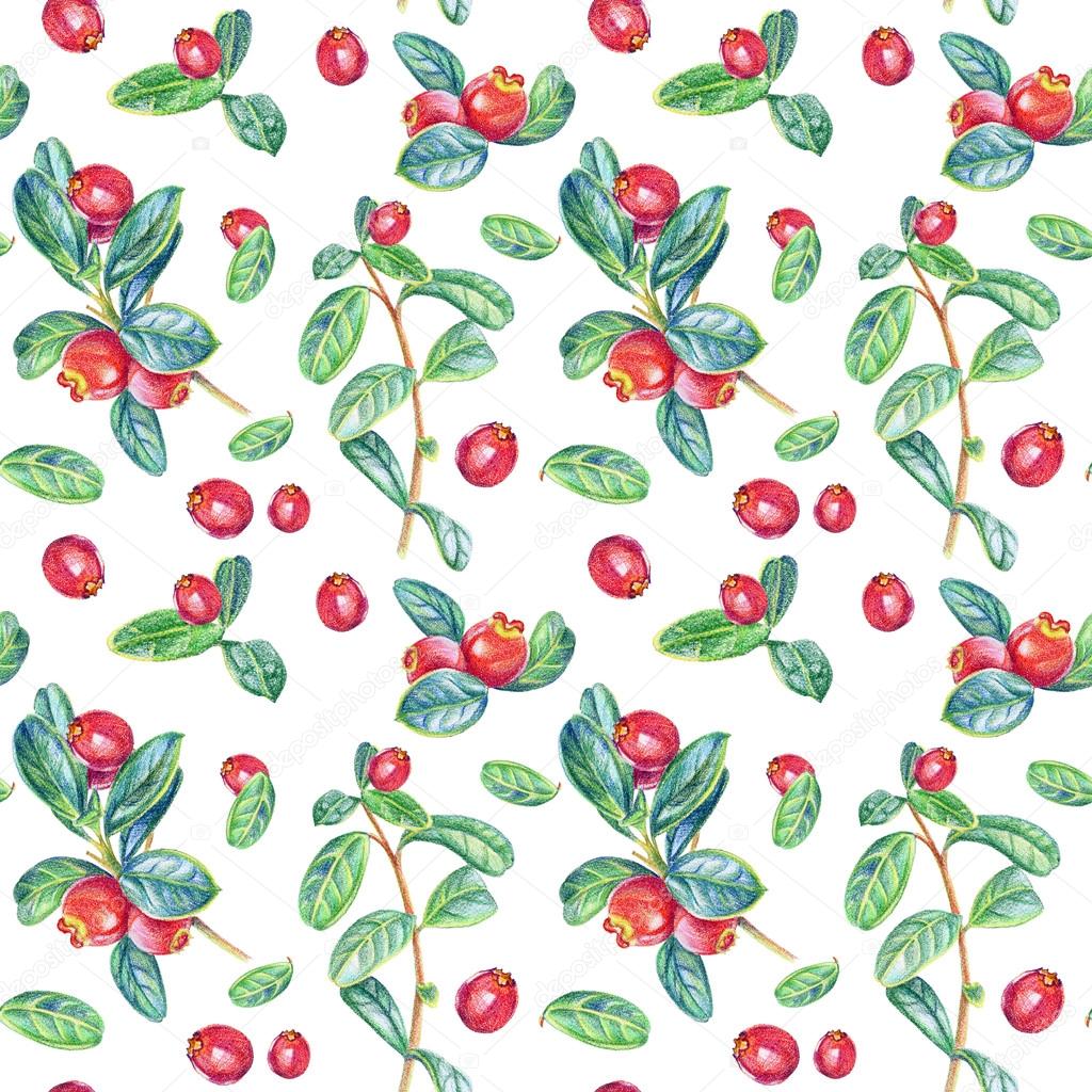 1024x1024 Seamless Pattern With Cranberry. Drawing With Colored Pencils