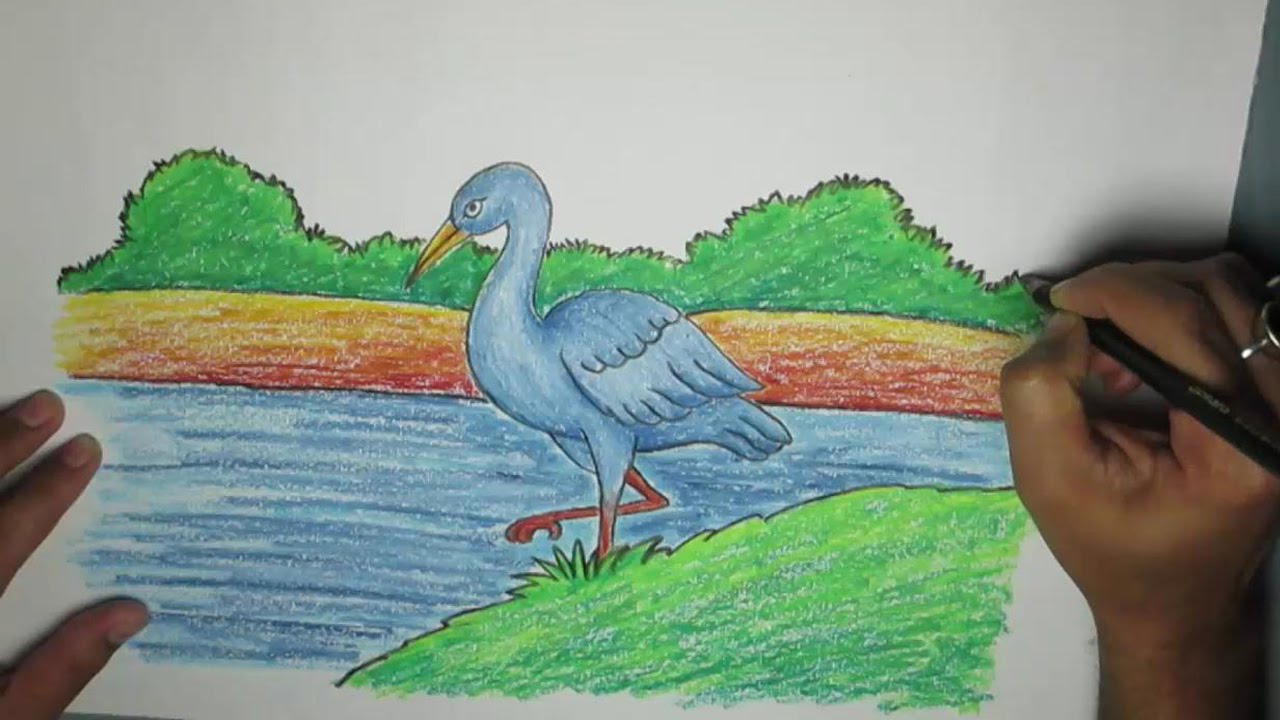 1280x720 How To Draw A Crane Bird With Oil Pastel