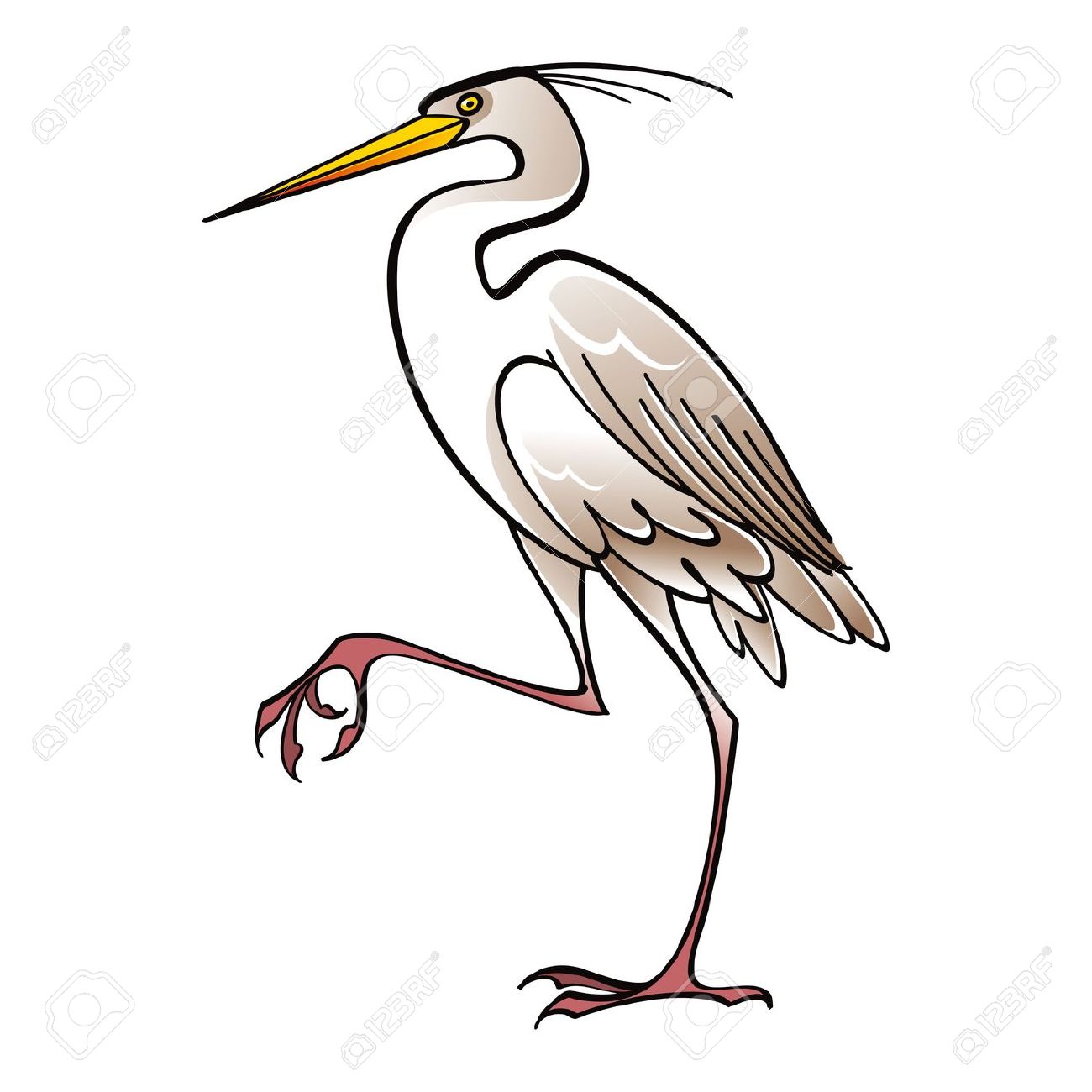 1300x1300 White Crane Bird Clip Art Bird Clip Art, Bird