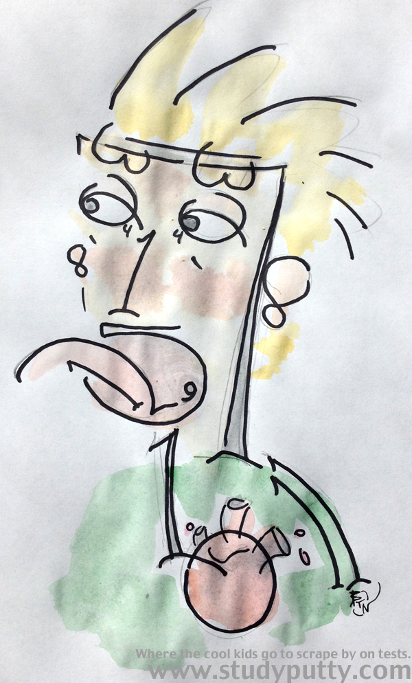 600x994 Students Cram Cranial Nerve Knowledge Into Your Cranium