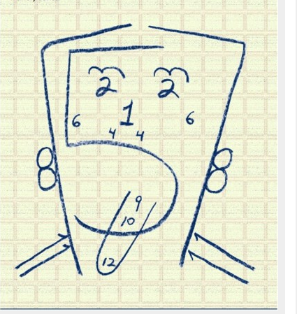 425x449 Cranial Nerves This Lil Drawing Would Have Been Nice To Have