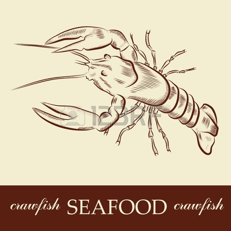 450x450 Crawfish Stock Photos. Royalty Free Business Images