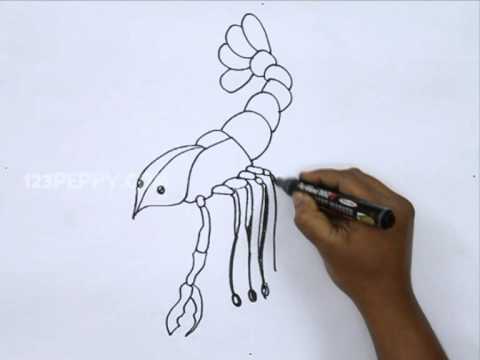 480x360 How To Draw A Crawfish