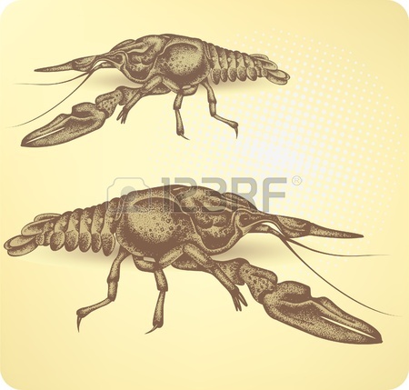 450x429 Vintage Frame With Crayfish, Hand Drawing. Royalty Free Cliparts