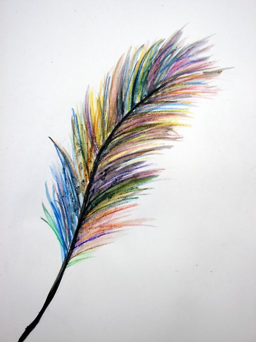 500x667 Photos Pencil Crayon Drawings,