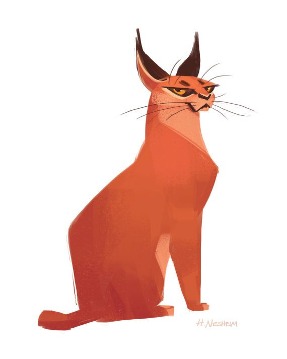 570x713 Heddarsketch A World Of Cats! Caracal, Cat