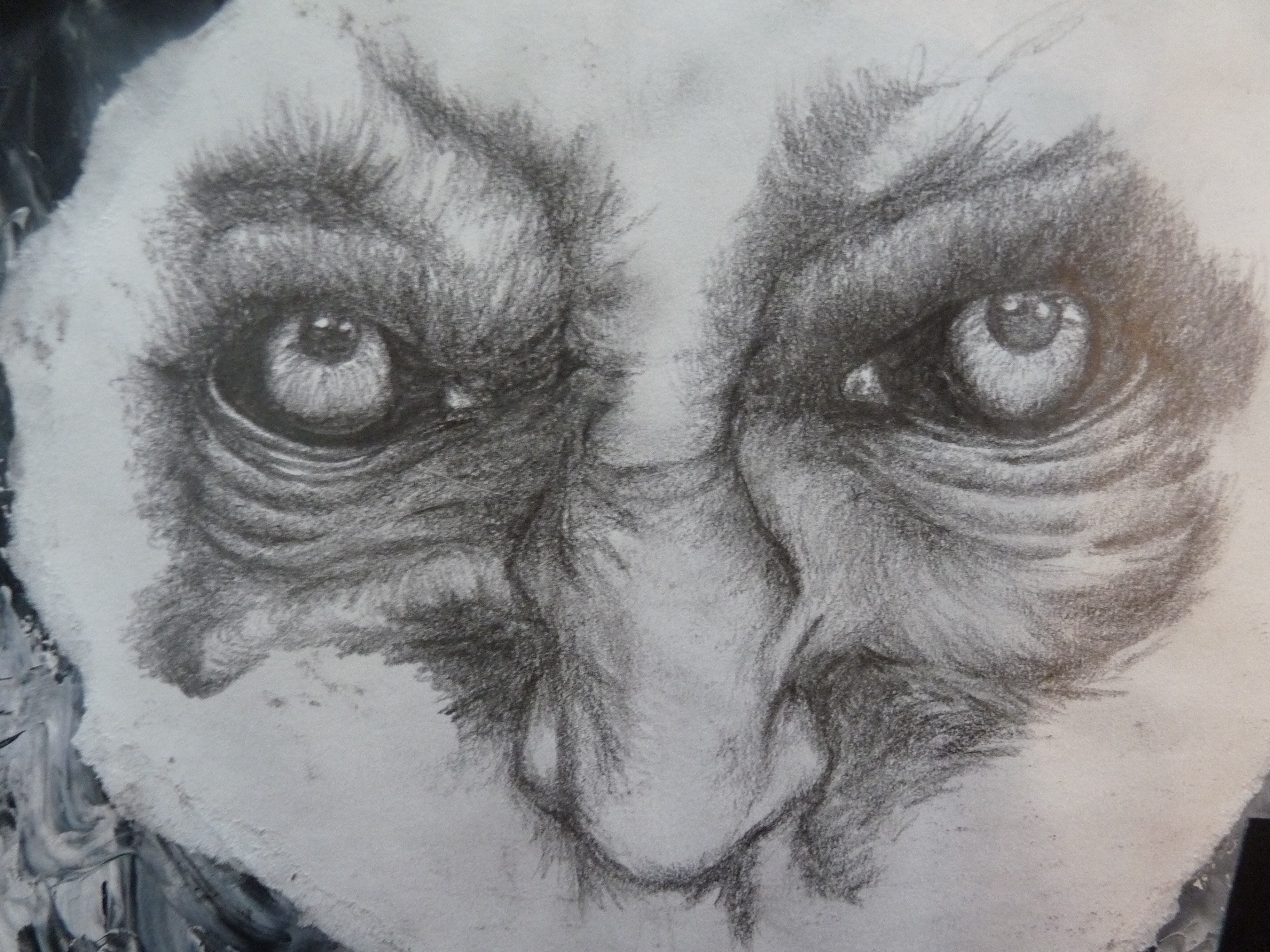 3648x2736 Drawings Katfaithsart