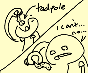 300x250 Crazy Guy Eats Tadpole But Thats Wrong