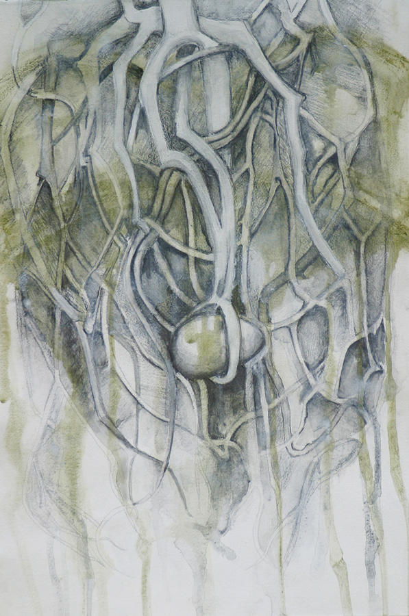 597x900 Roots Of Creation Drawing By Diana Davenport