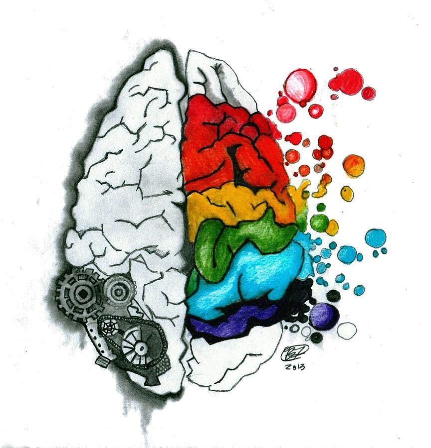 864x900 Creative Brain Drawing By Becca Fieken