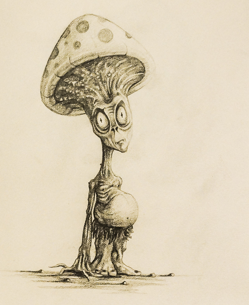 800x980 Creature Pencil Drawings