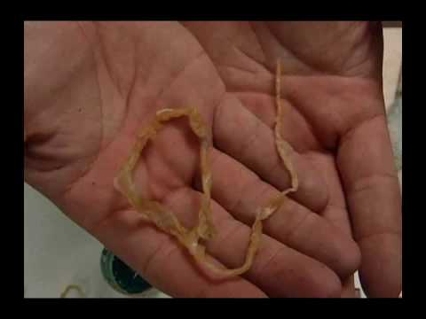 480x360 How To Make A Scary Skull Part 2