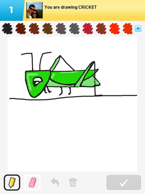 500x667 Cricket Drawings