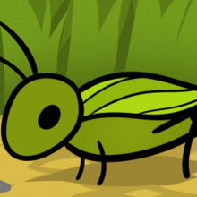 220x220 How To Draw How To Draw A Cricket For Kids