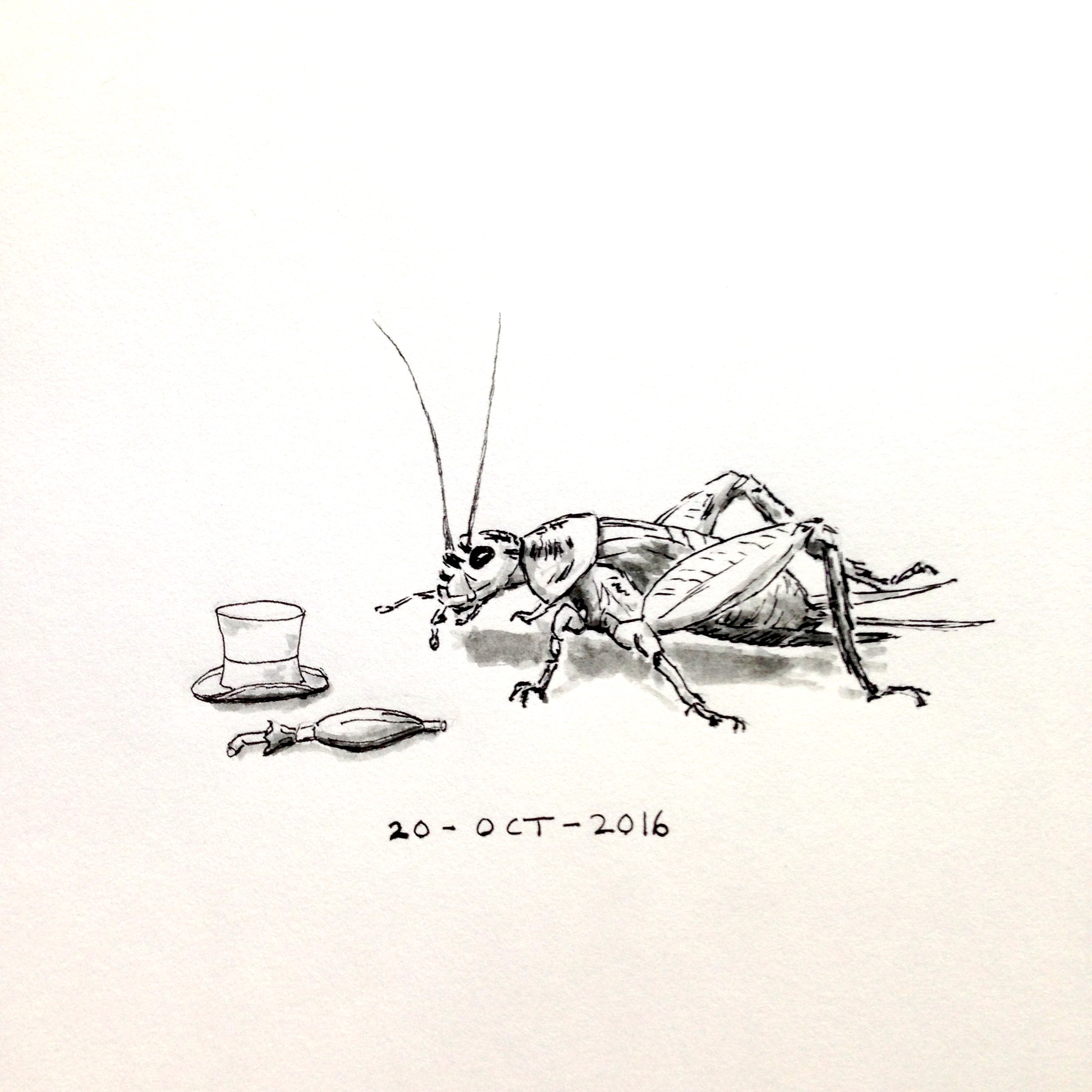 2448x2448 Ink Drawing Of A Cricket Pondering A Top Hat And Umbrella Dan'S