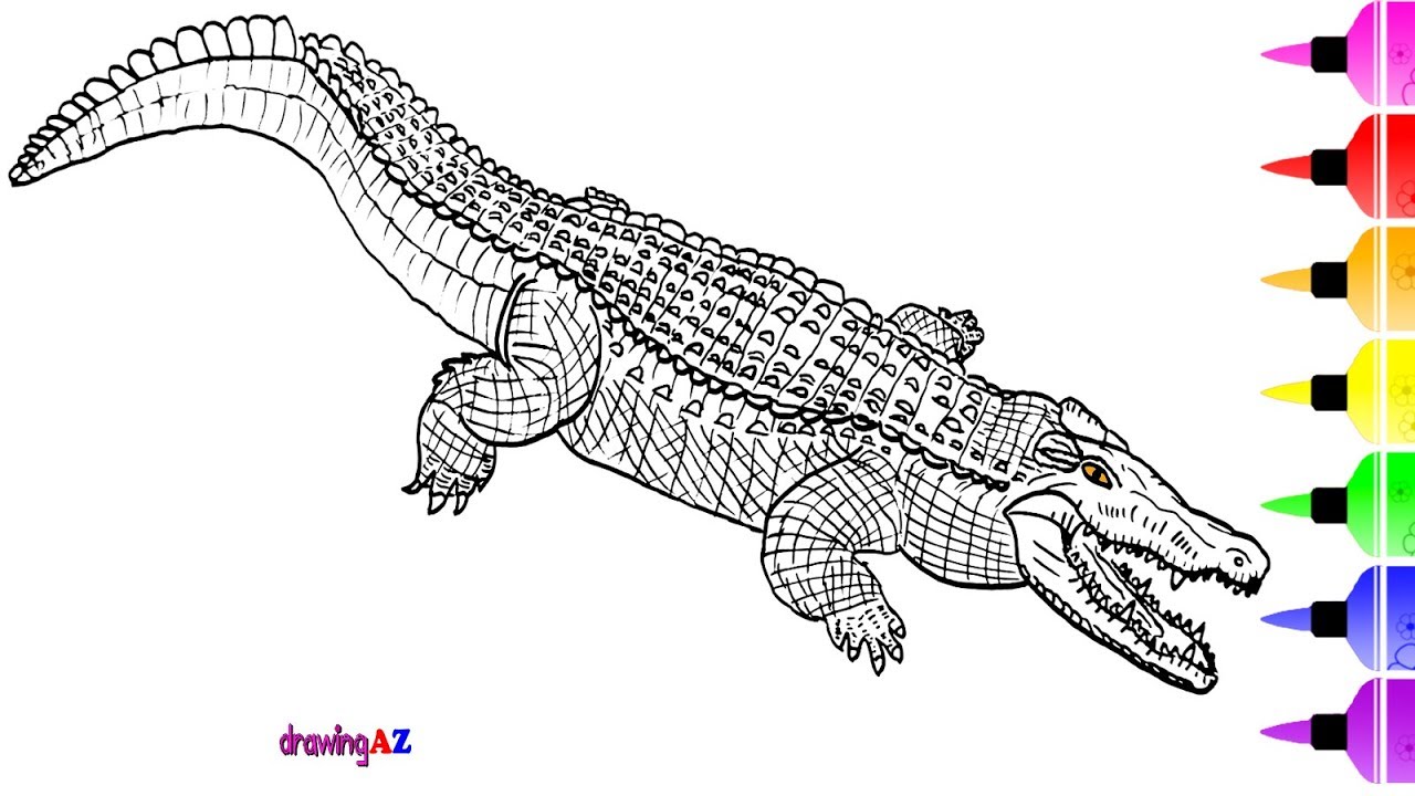 1280x720 Crocodile Drawing And Coloring Pages For Kids Learn To Draw