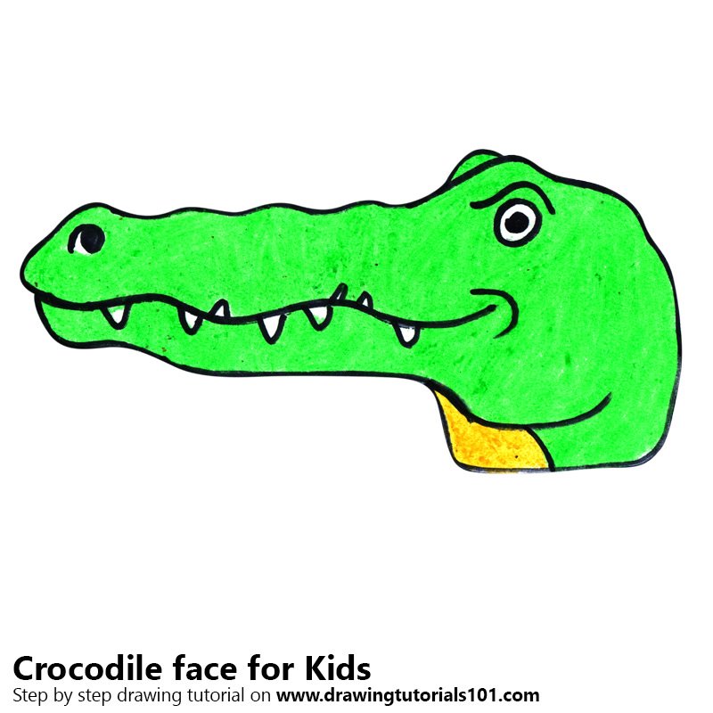 800x800 Learn How To Draw A Crocodile Face For Kids (Animal Faces For Kids