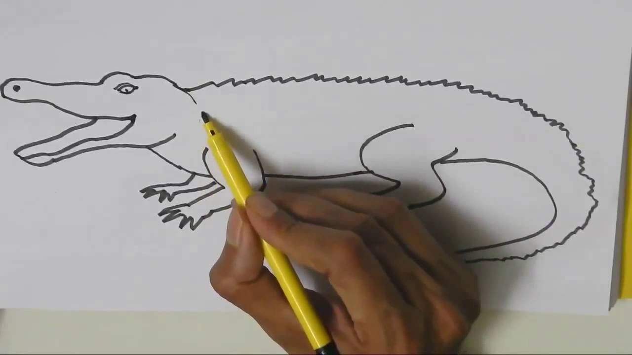 1280x720 How To Draw A Crocodile
