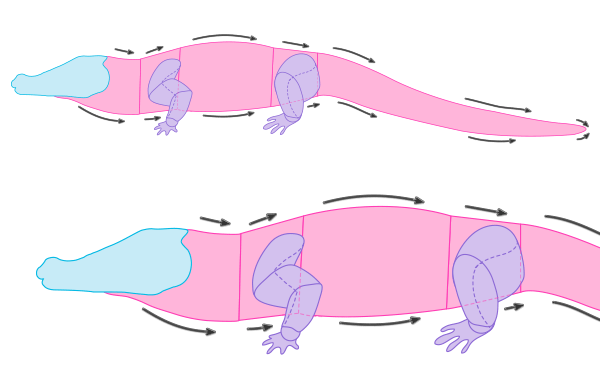600x379 How To Draw Animals Crocodiles, Alligators, Caimans And Gharials