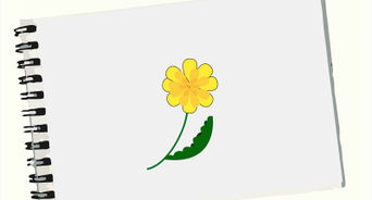 342x184 How To Draw A Simple Tree 11 Steps (With Pictures)