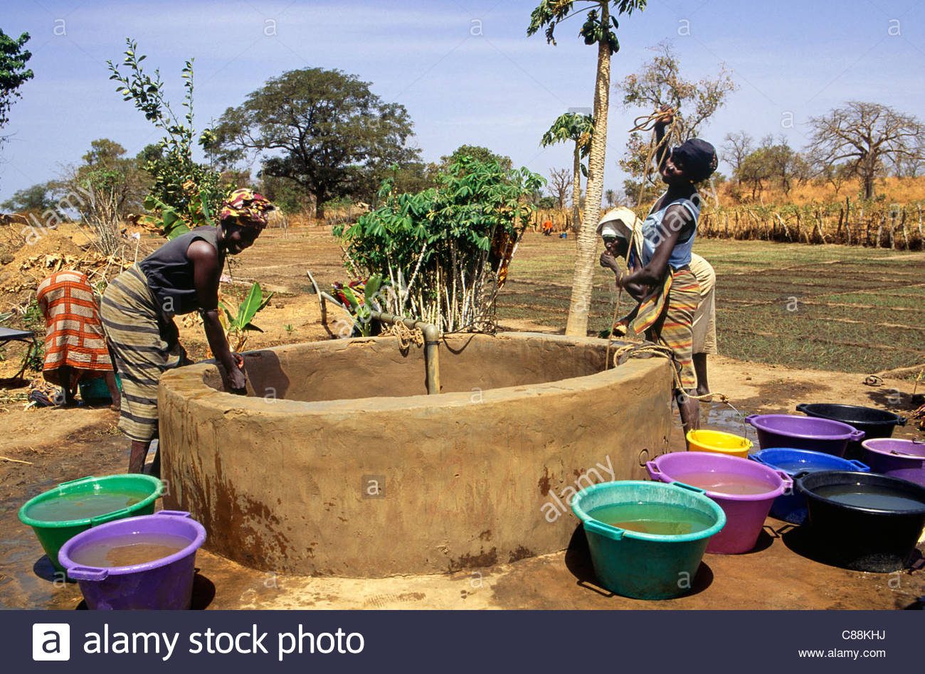 1300x948 The Gambia. Women Drawing Water From A Well For Watering Crops