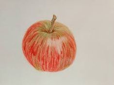 235x176 Image Result For Cross Contour Apple Drawing Contourcross