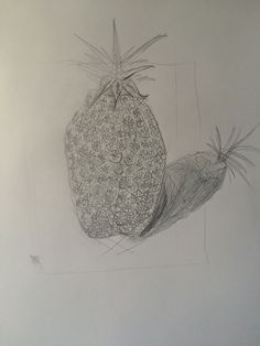 236x314 Week 6 Cross Contour Drawing Art And Design Fundamentals