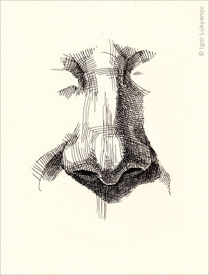 305x400 Realistic Human Nose Drawing (Cross Hatching Style) Noses