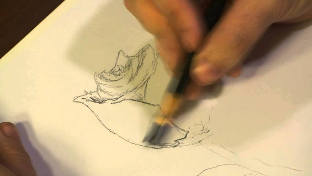 1280x720 How To Draw Flowers With Cross Hatching