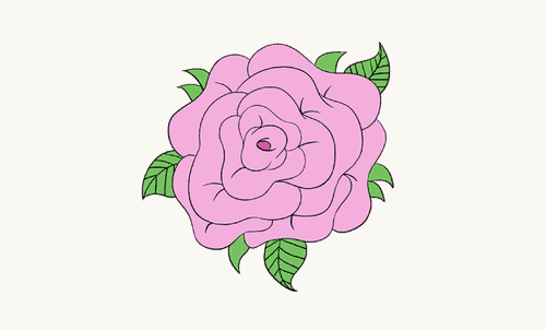 500x302 How To Draw Roses